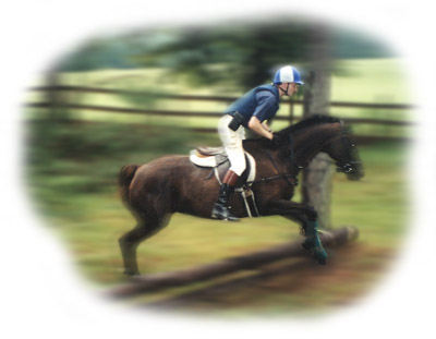 Pope Radislav in equestrian sport