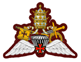 Airbourne Guard of Honour insignia