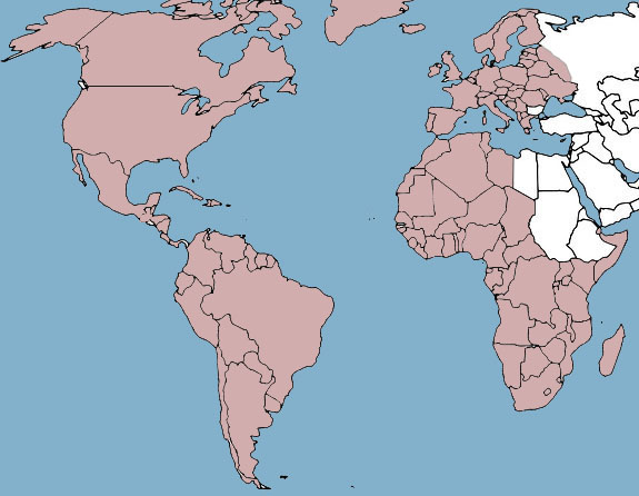 Catholicate of Rome-Ruthenia